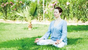 禪與科學：從菌腸腦軸看身心靈健康