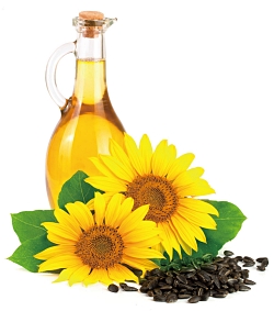 葵花籽油富含多種營養成分