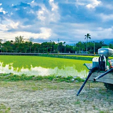 用科技創新農業　魏瑞廷區塊鏈打造池上米　成功外銷國際