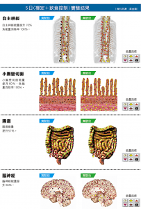5日〈禪定＋飲食控制〉實驗結果