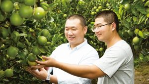 青年開路：邱瑞堂打造大苑子專屬鮮果吧