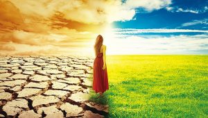 禪醫療養生：身體危機就是生命轉機