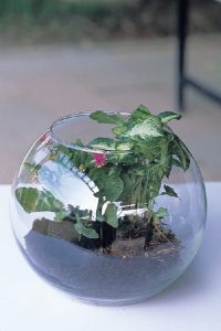 組合盆栽DIY步驟