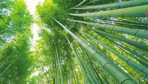 生活禪話：衝破臨界點