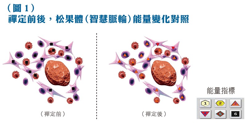 禪定前後,松果體(智慧脈輪)能量變化對照
