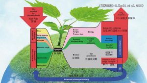 今日科技：超級烘焙機10分鐘速成生質煤炭
