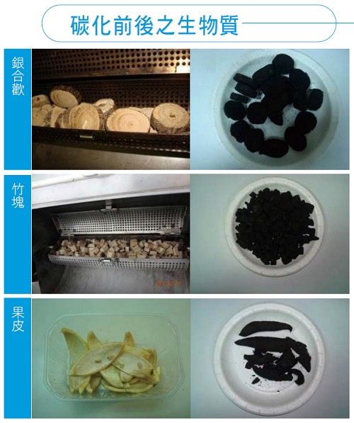 碳化前後之生物質