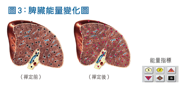 脾臟能量變化圖