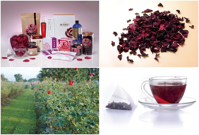 屏東九如的大花有機農場