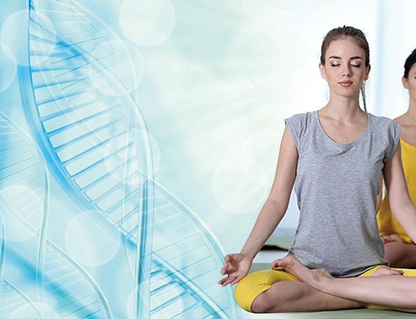 禪與科學：禪定可提升細胞生命品質