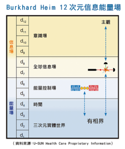 Burkhard Heim 12 次元信息能量場