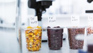 探索食品真面目,了解基改作物