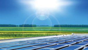 社會環境：綠電吃緊營農型光電急突圍