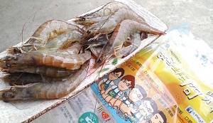 清水沖洗解凍後的嚴選鮮甜蝦,背部已開始氧化變紅