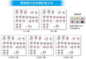 實驗顯示染色體能量分布 􀀃􀀕􀀓􀀕􀀓􀀒􀀔􀀒􀀕􀀛􀀃􃝻􅈚􆩼􀀶􀀨􀀷􀀃􀀲􀀩􀀃􀀰􀀤􀀯􀀨􀀃􀀦􀀫􀀵􀀲􀀰􀀲􀀶􀀲􀀰􀀨􀀶􀀑 􀀃􆜆􄶂􂿏􂆮􃜸􀀋􀀱􀀯􀀶􀀌 􀀃􂏛􀀃􃗍􃱛􀀃􀀃􀀃􀀃􀀘􀀔 􀀃􅠐􄣢􄚖􂇵􅨚􆂐􁻵􃳣􂉽􄈡􂇍􃳣􅸵 􀀃􅨚􅗽􄎦􄁢􃚨􁼛􄘬􄎮􃂛􄉨􃃳 􀀃􄓇􄎮􃨇􅂥􃙓􄶑 􀀃􄓇􄎮􃨇􅂥􃷃􂻙 􀀃􄓇􄎮􃨇􅂥􄔘􂷠 􀀃􄓇􄎮􅩧􄭨􃨇􅂥􂙜􆅵􄔘􂷠􀀏􃖶􆠗􄕭􄎮􄉨􃃳 􀀃􄯥􂎵􀀝􀀃􀀃􀁂􀁂􀁂􀁂􀁂􀁂􀁂􀁂􀁂􀁂􀁂􀁂􀀃􀀧􀁒􀁆􀁗􀁒􀁕 􀀃􀀕􀀓􀀕􀀓􀀒􀀔􀀒􀀕􀀛􀀃􃝻􅈚􆩼􀀶􀀨􀀷􀀃􀀲􀀩􀀃􀀩􀀨􀀰􀀤􀀯􀀨􀀃􀀦􀀫􀀵􀀲􀀰􀀲􀀶􀀲􀀰􀀨􀀶􀀑