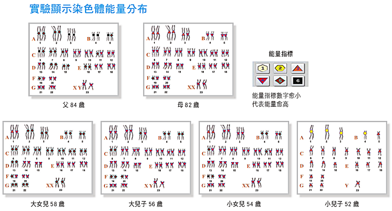 實驗顯示染色體能量分布隨實驗顯示染色體能量分布