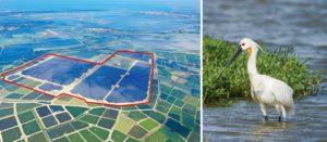 有鹽田遺跡的鹽田光電區