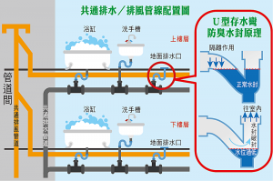 共通排水／排風管線配置圖