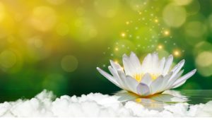 禪宗經典故事:馬祖道一大師修禪心法