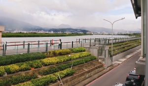 社子島民眾現在所使用的腳踏車步道