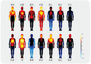 禪與科學：禪定有助均衡體溫提升免疫力