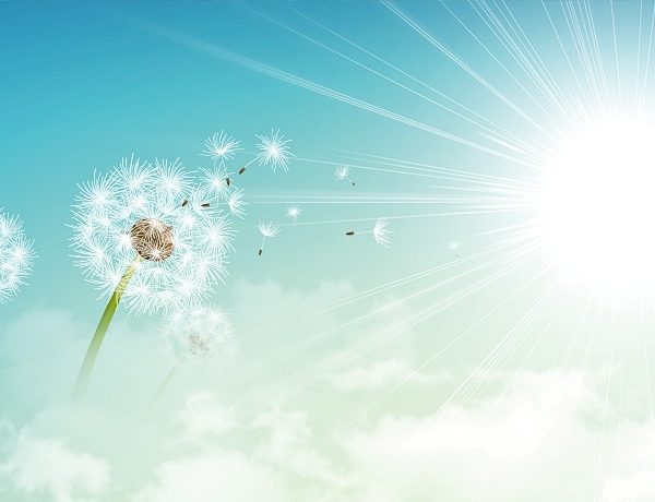 禪門學堂：有相布施與無相布施的真實義