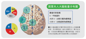 居里夫人大腦能量分布圖