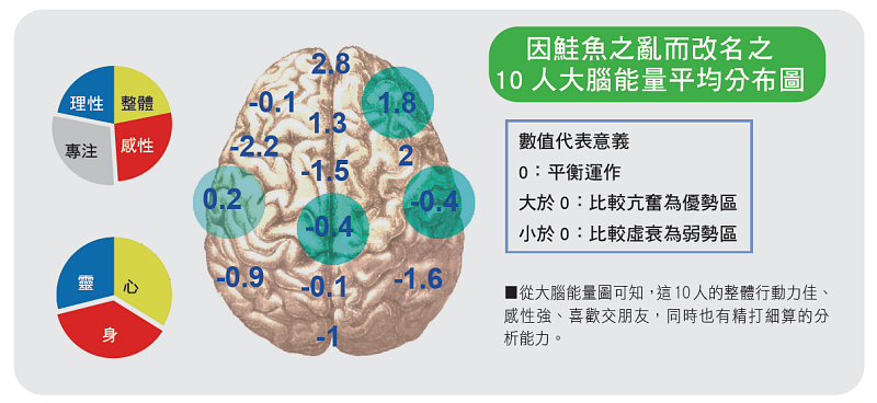 因鮭魚之亂而改名之10人大腦能量平均分布圖