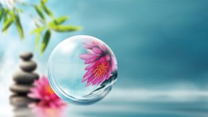 生活禪話：內觀而自省