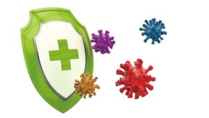 禪健康養生：提升免疫力