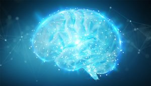 禪與科學：從腦神經科學看分別心的起源