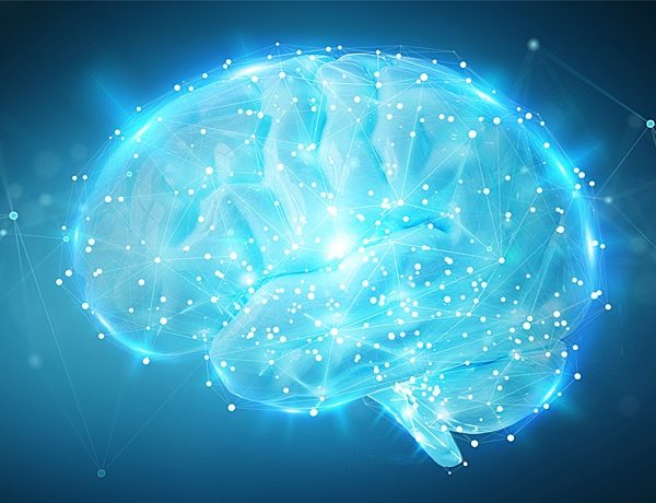 禪與科學：從腦神經科學看分別心的起源