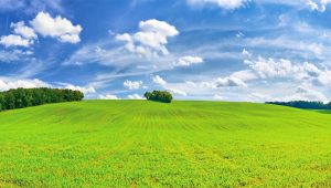 197生活禪話：清淨持戒寂滅入心