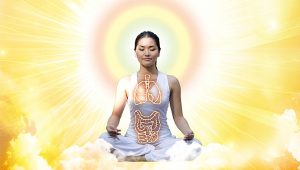 197-禪與科學：禪定增強腸肺軸能量