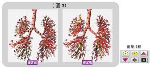 測者肺部支氣管的能量變化圖