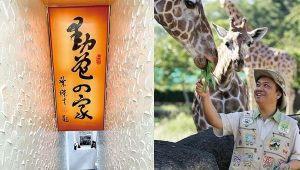 文化與創意:動物爸爸葉傑生獨特生肖書畫藝術創作