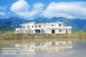 經典時尚風格:樂土免除家中壁癌煩惱