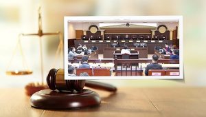 社會與環境:國民法官新制