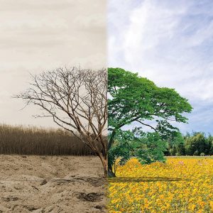 台灣的冬天可能在2060年消失