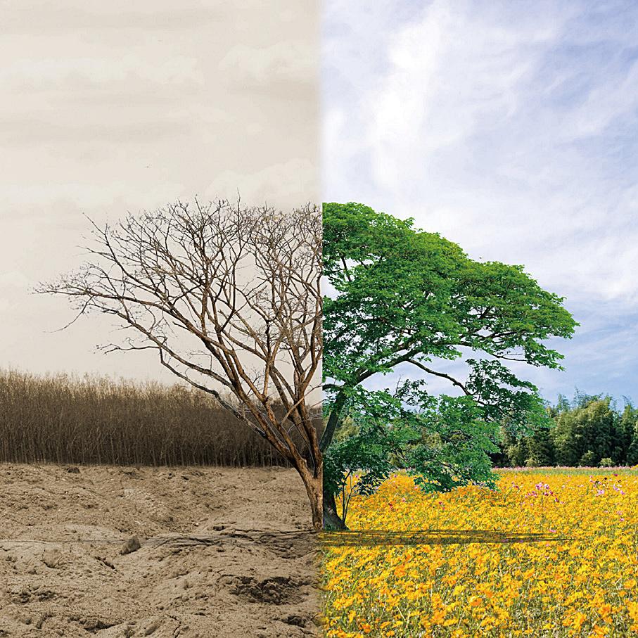 台灣的冬天可能在2060年消失