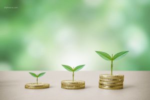 禪的５大理財觀點