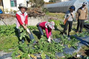 社區大學學在健福農場體驗耕作與收成的樂趣