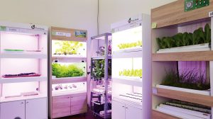 家庭植物工廠滿足你的都市田園夢