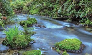 有靈氣的地方一定有水