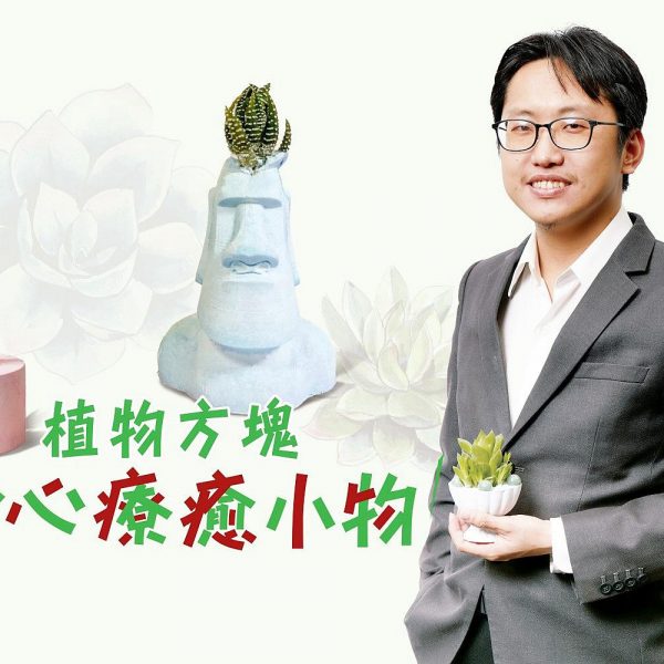 「植物方塊」身心療癒小物