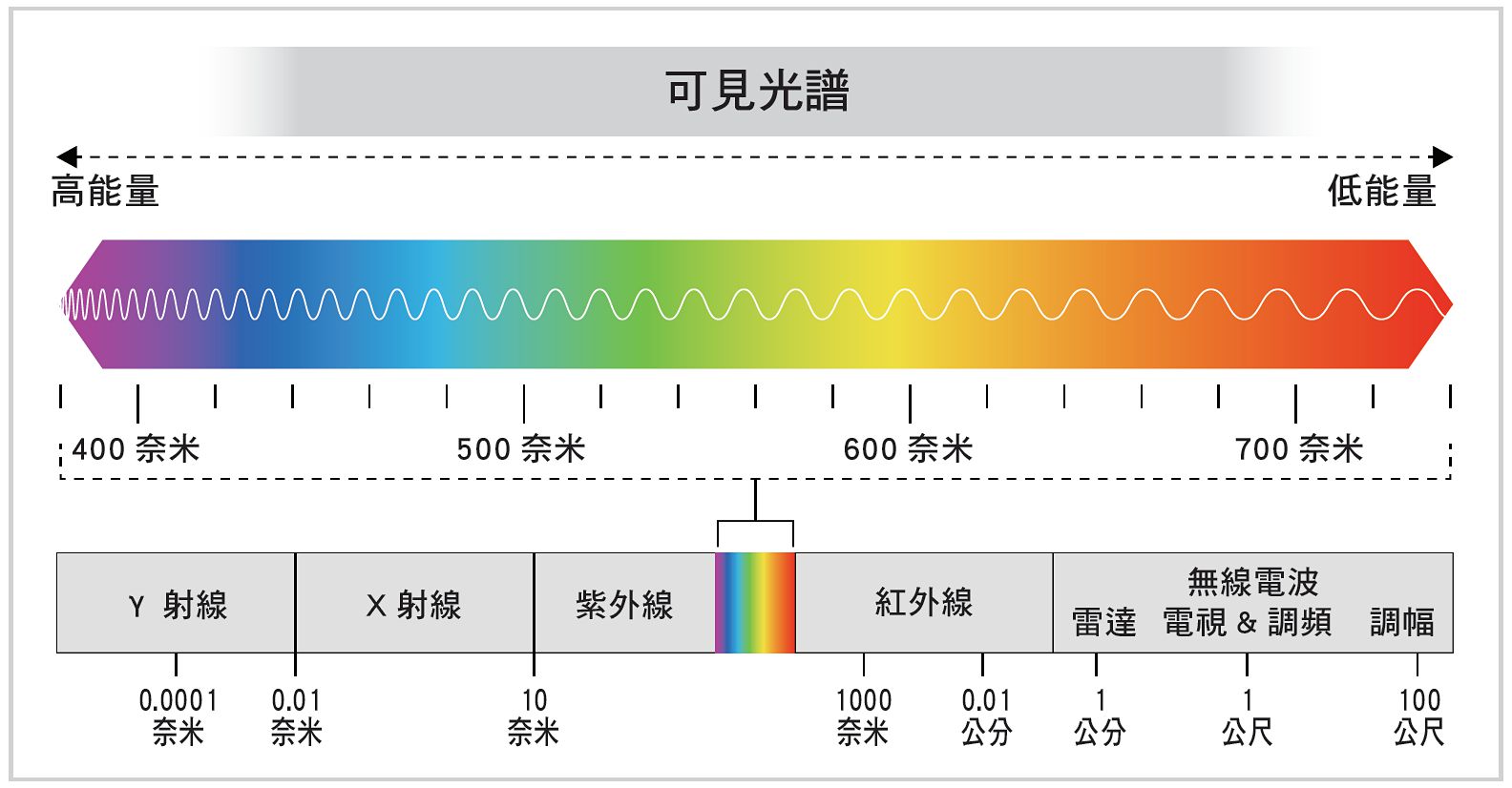 舍利子在法界的意義 | 禪天下ZenCosmos