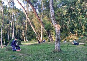 在森林中透過五感體驗達到放鬆身心的效果