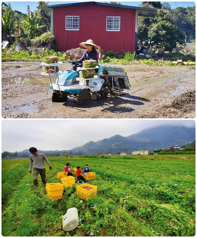新竹自然農俱樂部