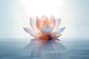 223禪修釋疑：圓滿智慧面對修行低潮