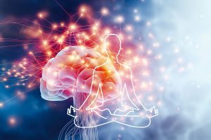 224-禪與科學：禪定喚醒大腦　升級重灌